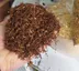 وینستون بسته صد گرمی
